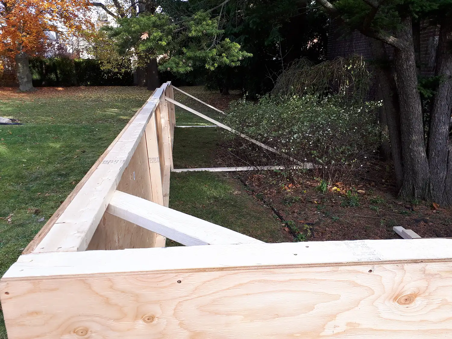 Tree Protection Plans | Green Bird Horticultural